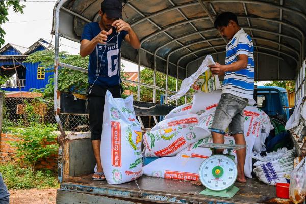 Deux travailleurs journaliers aident les assistants sociaux lors d'une distribution de riz à Oudong